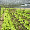 Tela Sombrite Profissional 80% para Hortas e Áreas Externas