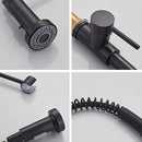 Torneira Gourmet de Cozinha com Spray Extensor