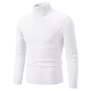 Suéter Masculino Gola Alta cor Branco